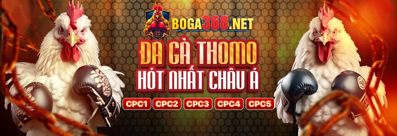 Sân đá gà trực tuyến win55 go đầy kịch tính